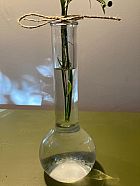 Vintage Test tube vase