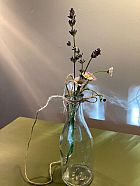 Hanging vase-plant propagation tube